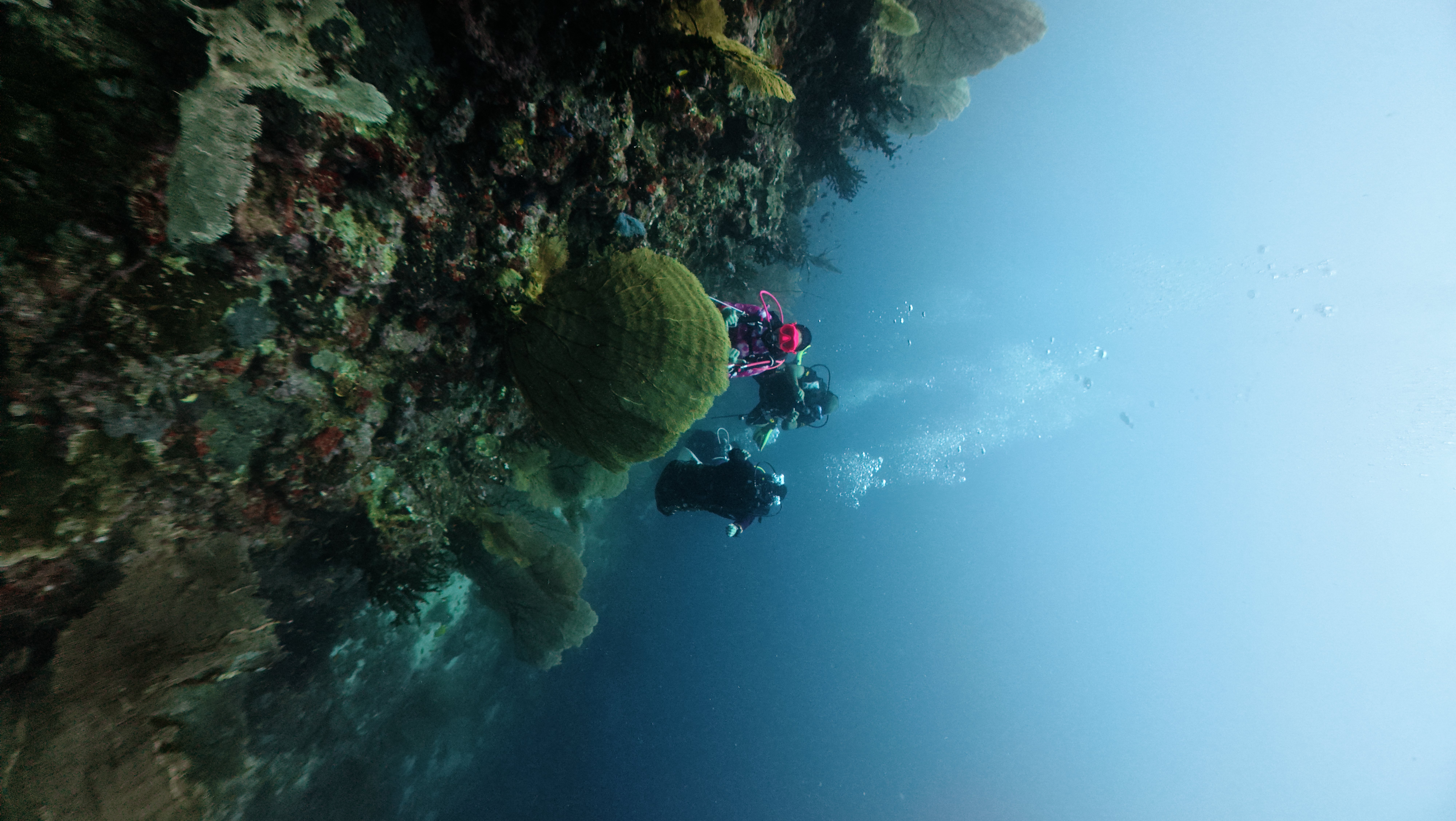 PADI Advanced Open Water