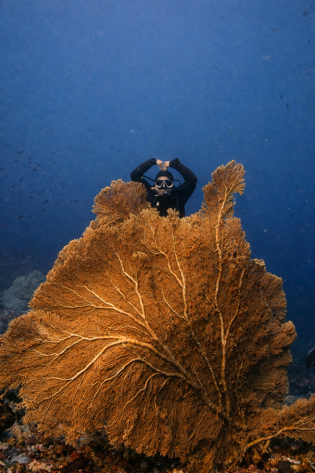 PADI Open Water